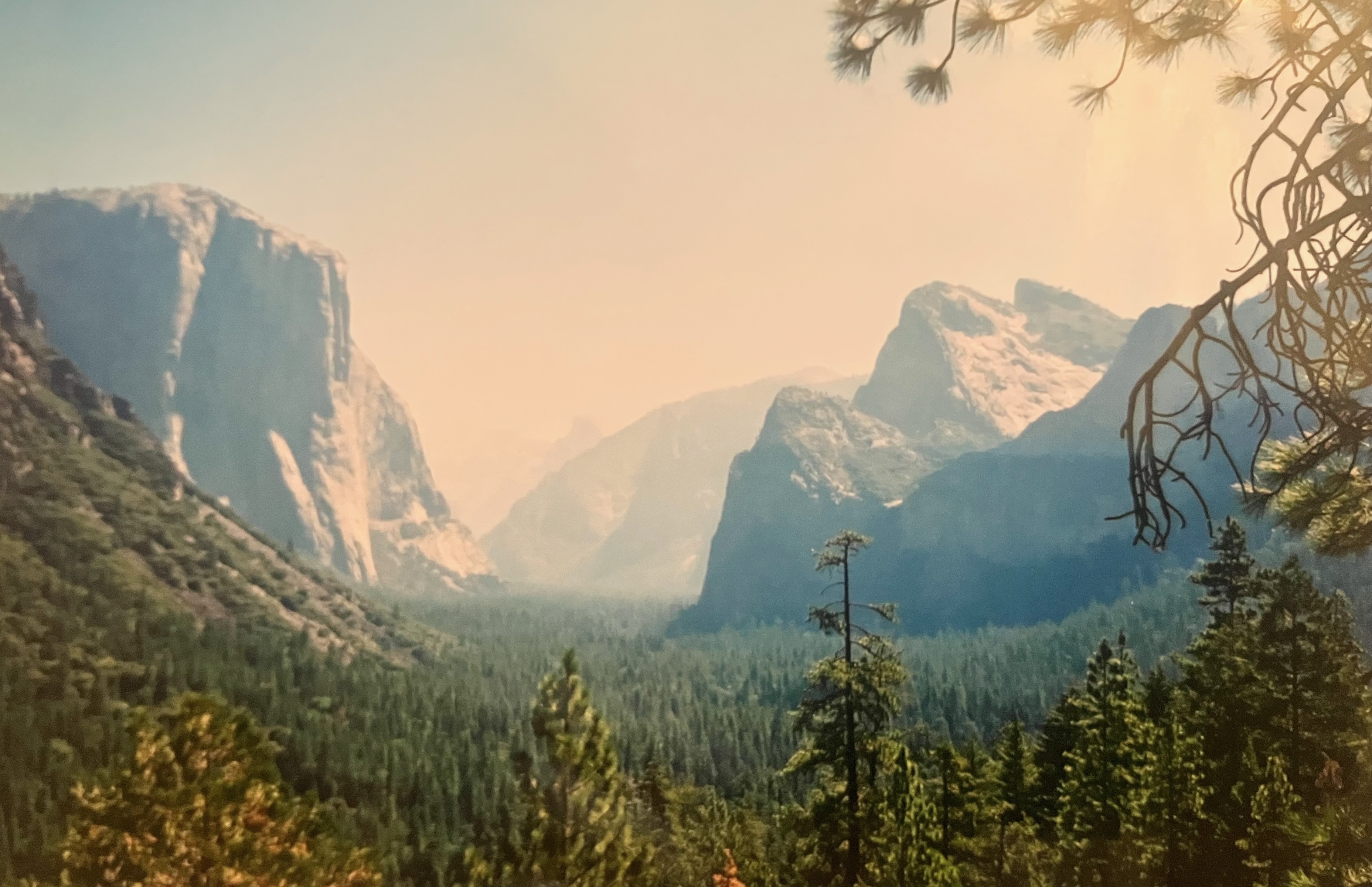 El Capitan: one minute you’re staring at the sky, the next the magnificent sight of this endless valley hoves into view. We had to stop the car and get out